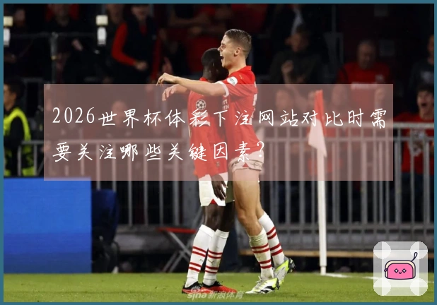 2026世界杯体彩下注网站对比时需要关注哪些关键因素？