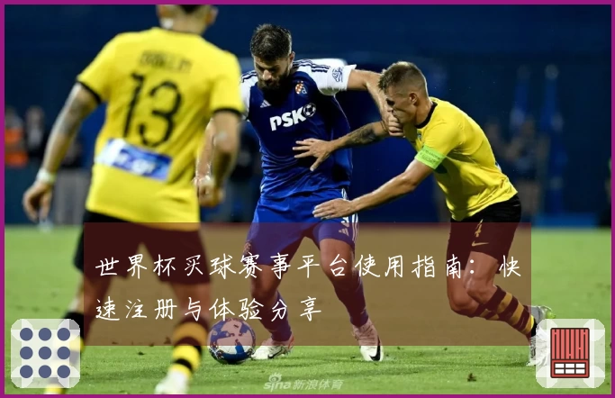 世界杯买球赛事平台使用指南：快速注册与体验分享