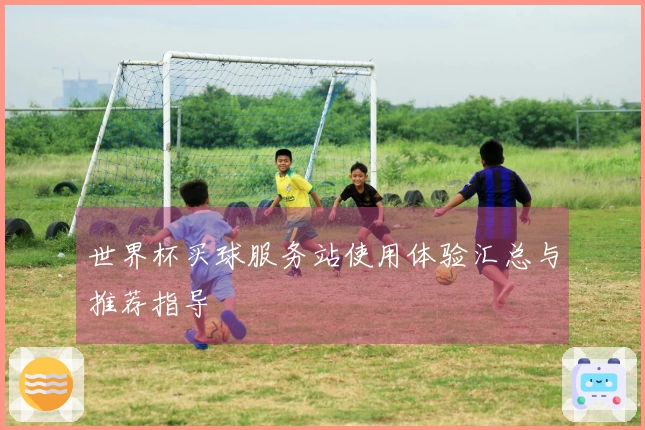 世界杯买球服务站使用体验汇总与推荐指导