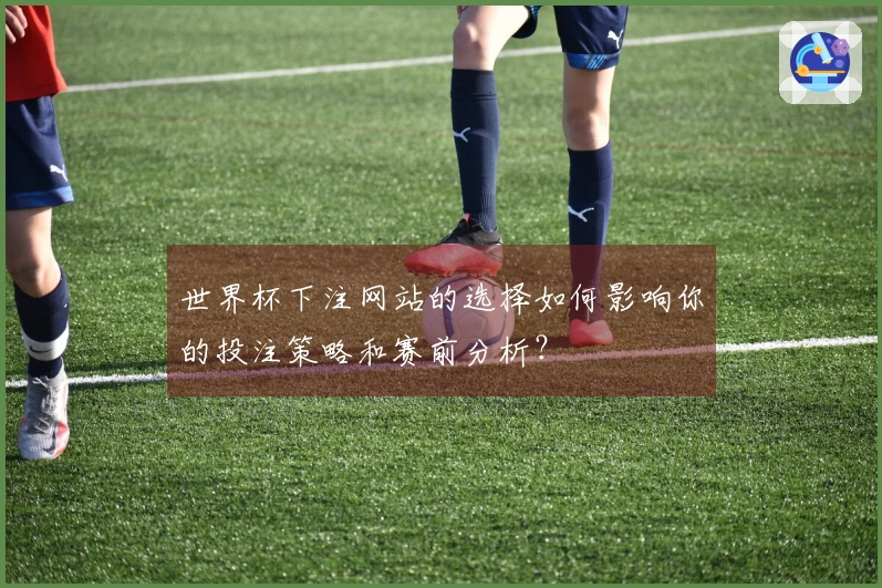 世界杯下注网站的选择如何影响你的投注策略和赛前分析?