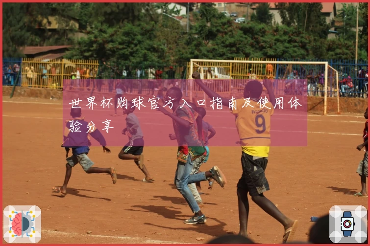 世界杯购球官方入口指南及使用体验分享