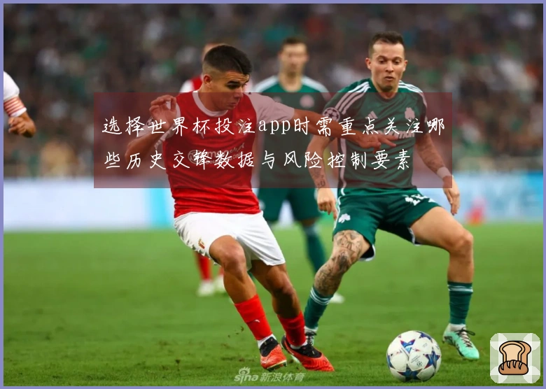 选择世界杯投注app时需重点关注哪些历史交锋数据与风险控制要素