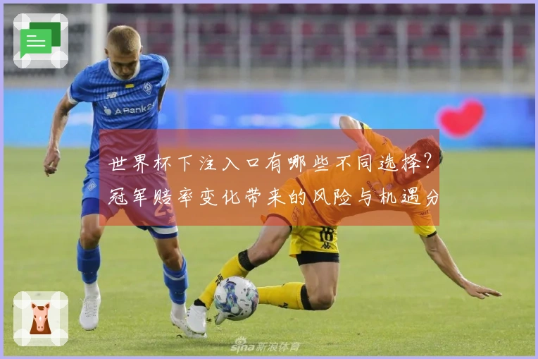 世界杯下注入口有哪些不同选择？冠军赔率变化带来的风险与机遇分析
