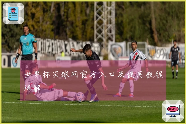 世界杯买球网官方入口及使用教程详解