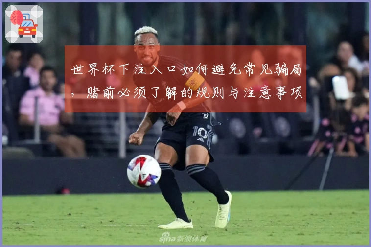 世界杯下注入口如何避免常见骗局，赌前必须了解的规则与注意事项