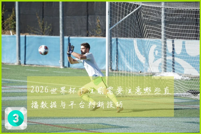 2026世界杯下注前需要注意哪些直播数据与平台判断技巧