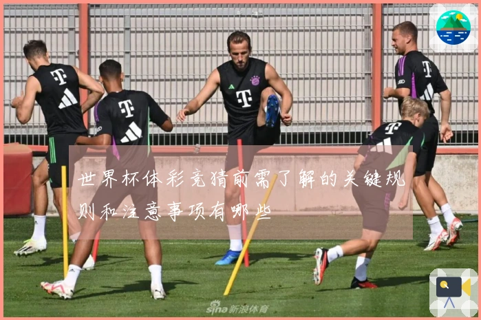 世界杯体彩竞猜前需了解的关键规则和注意事项有哪些