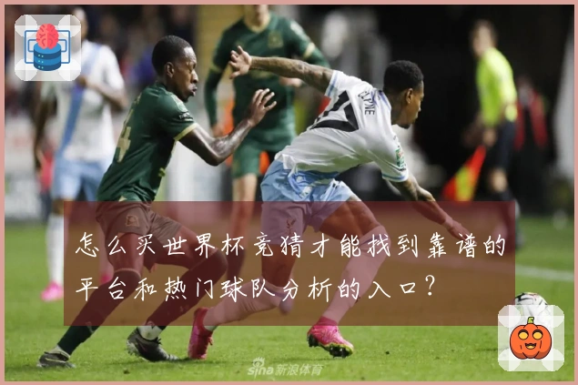 怎么买世界杯竞猜才能找到靠谱的平台和热门球队分析的入口？