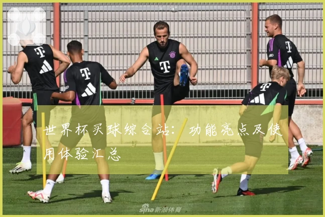 世界杯买球综合站:功能亮点及使用体验汇总