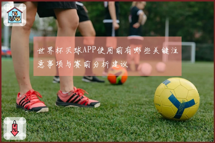 世界杯买球APP使用前有哪些关键注意事项与赛前分析建议