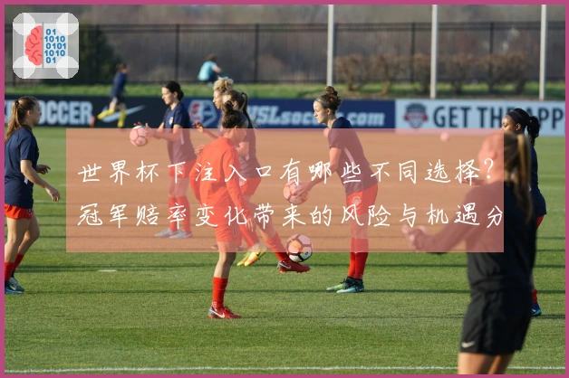世界杯下注入口有哪些不同选择？冠军赔率变化带来的风险与机遇分析