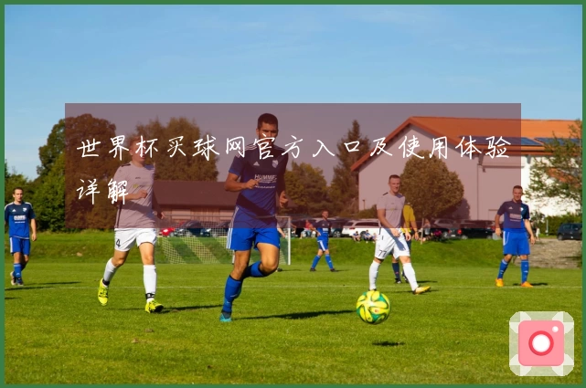 世界杯买球网官方入口及使用体验详解