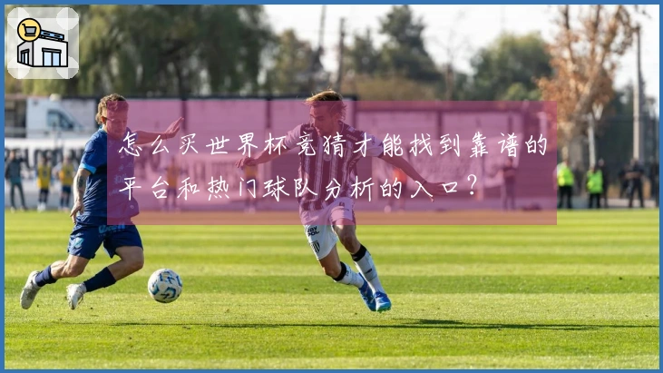 怎么买世界杯竞猜才能找到靠谱的平台和热门球队分析的入口？
