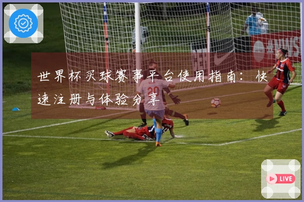 世界杯买球赛事平台使用指南：快速注册与体验分享