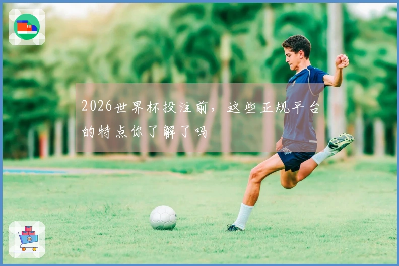 2026世界杯投注前，这些正规平台的特点你了解了吗