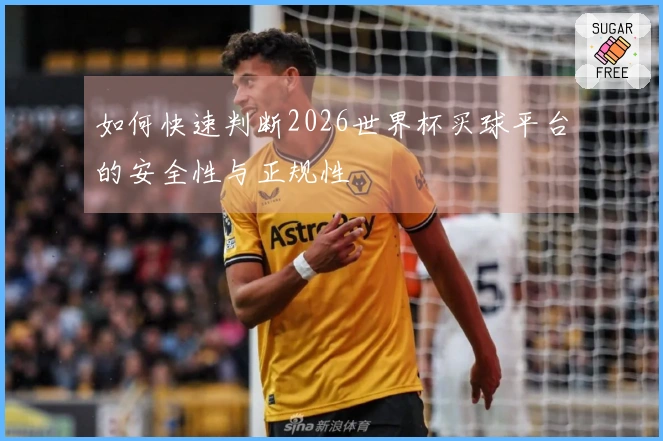 如何快速判断2026世界杯买球平台的安全性与正规性