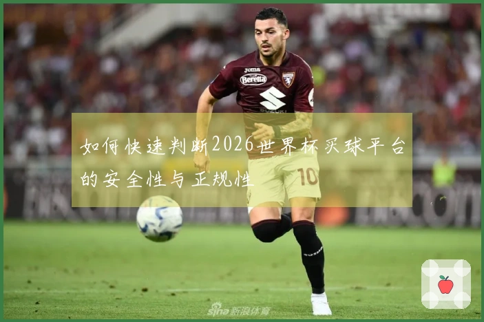 如何快速判断2026世界杯买球平台的安全性与正规性