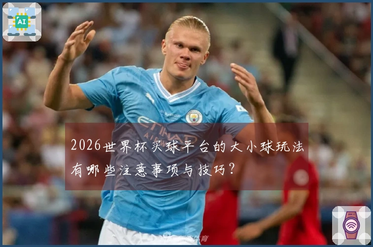 2026世界杯买球平台的大小球玩法有哪些注意事项与技巧？