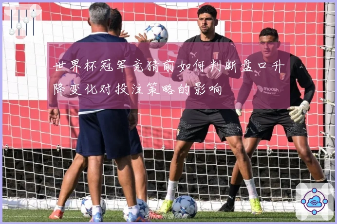 世界杯冠军竞猜前如何判断盘口升降变化对投注策略的影响
