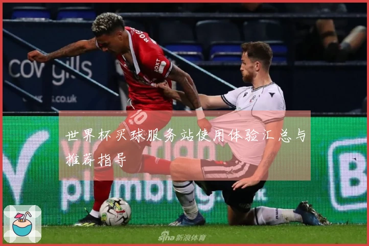 世界杯买球服务站使用体验汇总与推荐指导