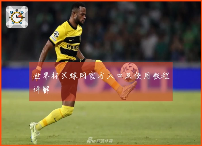 世界杯买球网官方入口及使用教程详解