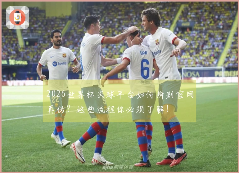 2026世界杯买球平台如何辨别官网真伪？这些流程你必须了解！