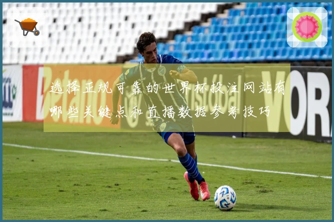 选择正规可靠的世界杯投注网站有哪些关键点和直播数据参考技巧