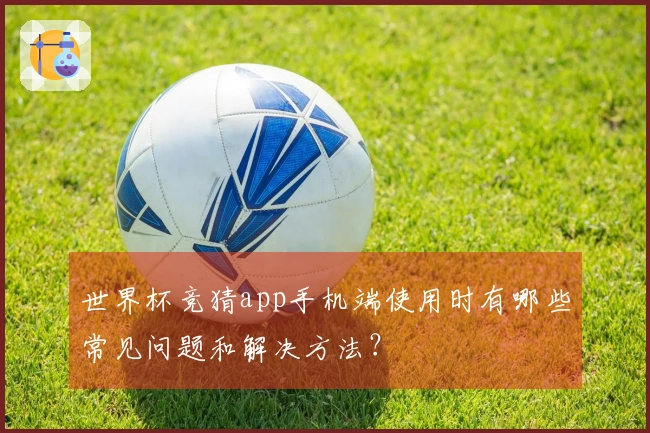 世界杯竞猜app手机端使用时有哪些常见问题和解决方法？