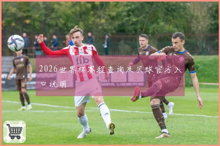 2026世界杯赛程查询及买球官方入口说明