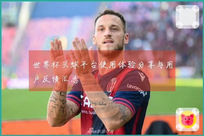 世界杯买球平台使用体验分享与用户反馈汇总