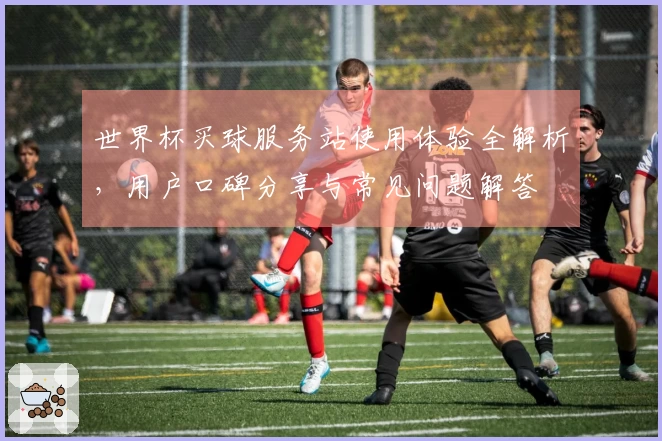 世界杯买球服务站使用体验全解析，用户口碑分享与常见问题解答